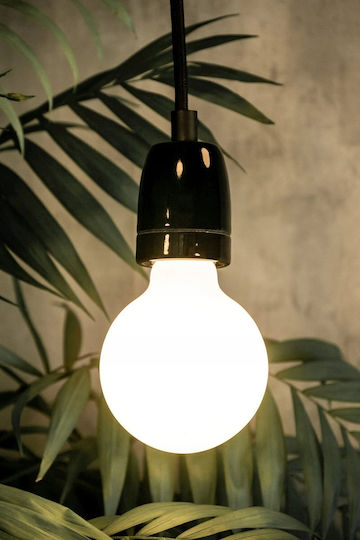 Segula Λάμπα LED 3.2W για Ντουί E27 Θερμό Λευκό 330lm Dimmable