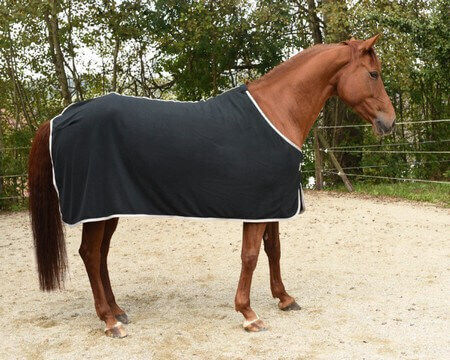 Covalliero Κουβέρτα Rugbe Fleece Economic 125 Cm Kerbl
