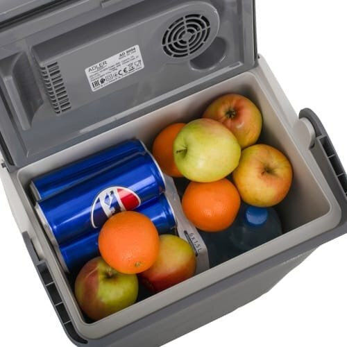 Adler Portable Thermoelectric Fridge 22L 12V Gray