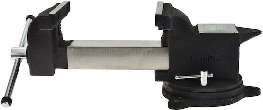 Tvardy Fest Einstellbare Schraubstock aus Edelstahl mit Maximale Öffnung 150mm