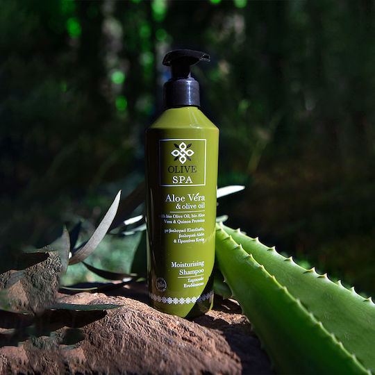 OliveSpa Aloe Vera & Olive Oil Shampoos für Trocken Haare 250ml