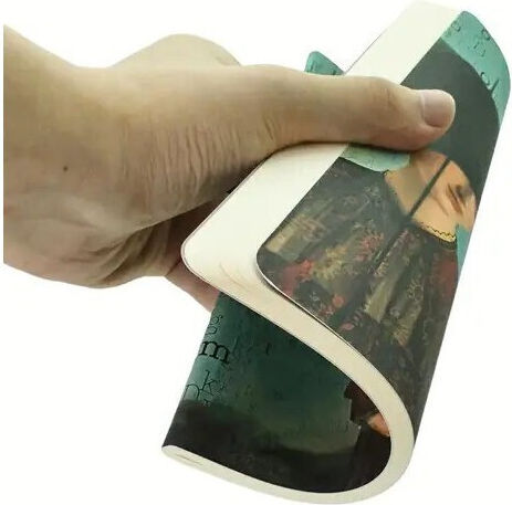 Paperblanks Carnet 80 Foi A5 Cu dungi Multicolor