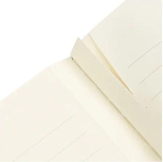 Paperblanks Carnet 80 Foi A5 Cu dungi Multicolor