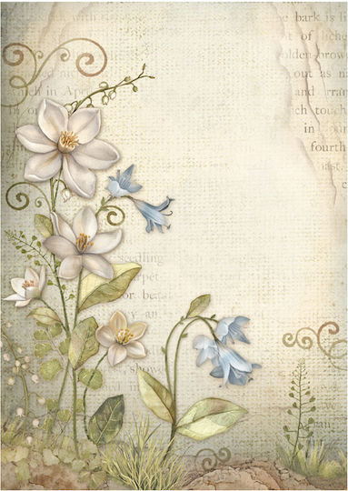 Set de 8 hârtii de orez pentru decoupage Stamperia 10,5×14,8cm Hidden Grove