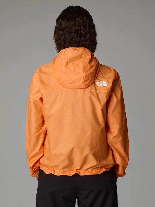 The North Face The North Face