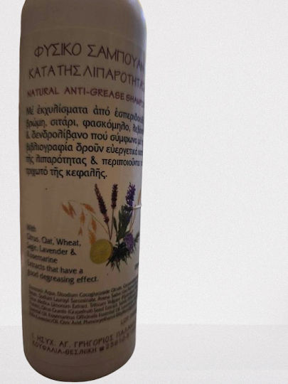 Ιερά Μονή Γρηγορίου Παλαμά Σαμπουάν για Λιπαρά Μαλλιά 270ml