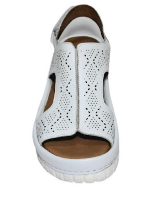 Anatomic Women's Leather Platform Shoes White