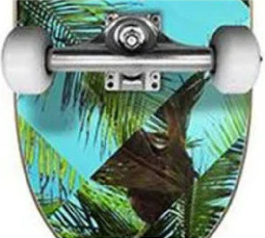 Red Dragon Palm Beach Complete Shortboard Τιρκουάζ