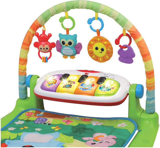 Winfun Baby Activity Gym for Newborns