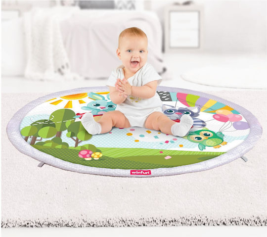 Winfun Baby Activity Gym for Newborns