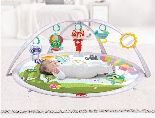 Winfun Baby Activity Gym for Newborns