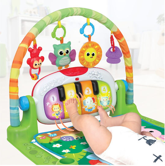 Winfun Baby Activity Gym for Newborns