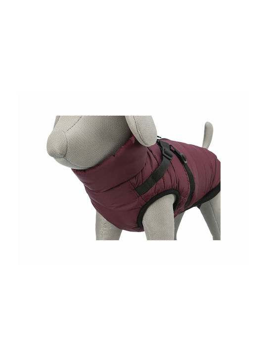 Red Dog Coat with 40cm Back Length