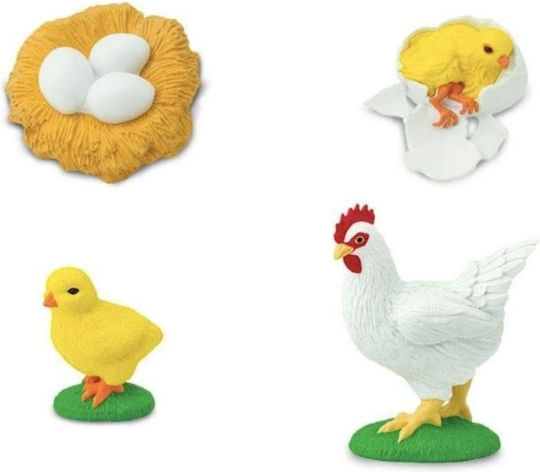 Safari Ltd Life Cycle of a Chicken STEM Образователна Игра Образователни за 4+ години Години