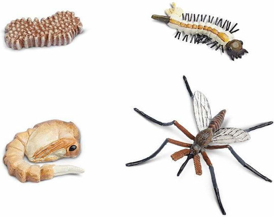 Safari Ltd Life Cycle of a Mosquito Образователна Игра Образователни за 4+ години Години