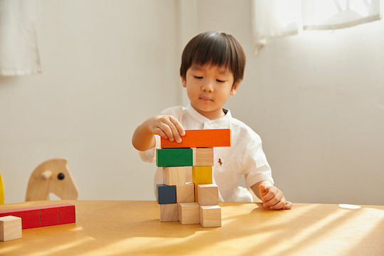 Plan Toys Κύβοι Για Μέτρημα Educational Game Knowledge made of Wood for 3+ years Years Old
