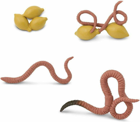 Safari Ltd Life Cycle of a Worm Εκπαιδευτικό Παιχνίδι Γνώσεων για 4+ Ετών