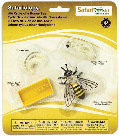 Safari Ltd Ο Κύκλος Ζωής της Μέλισσας STEM Educational Game Knowledge for 4+ years old Years Old