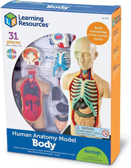 Learning Resources Human Body Εκπαιδευτικό Παιχνίδι Γνώσεων για 8-12 Ετών