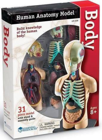Learning Resources Human Body Εκπαιδευτικό Παιχνίδι Γνώσεων για 8-12 Ετών