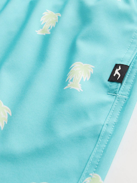 Hollister Hollister