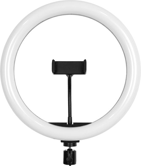 GloboStar RGB Ringlicht 30cm mit Halterung für Handy