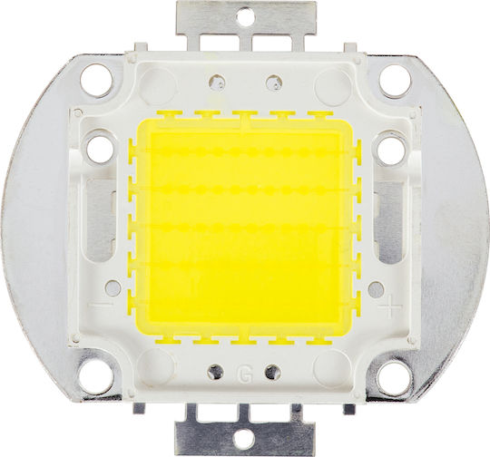GloboStar LED 32V 50W Alb rece 73762