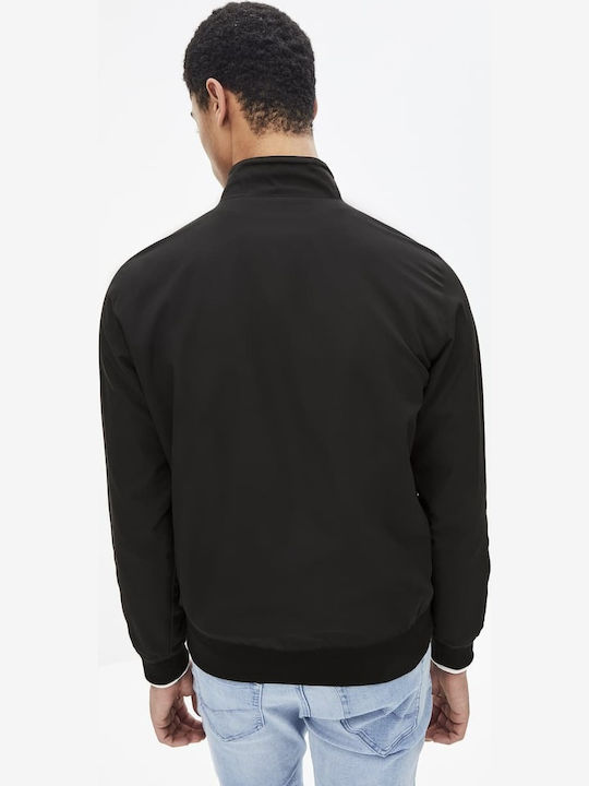 Celio Celio