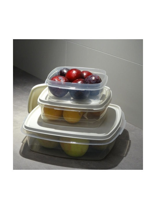 Viomes Microwave Plastic Lunch Box Gray 20x20cm