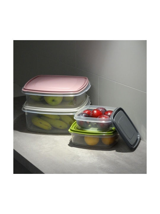 Viomes Microwave Plastic Lunch Box Transparent