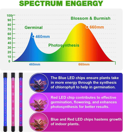 GloboStar Desk Grow Light with LED and Power 20W 150cm.