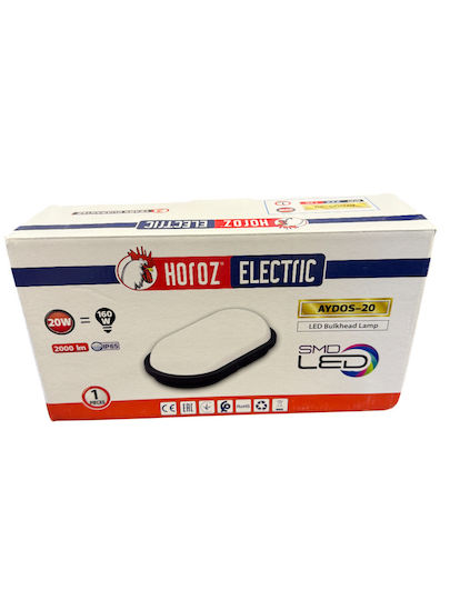 Horoz Electric Iluminat Exterior Montat Pe Perete Etanș Led 6400K