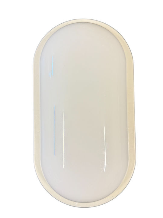 Horoz Electric Lumină de exterior montată pe perete LED IP65 cu Alb Rece Lumină