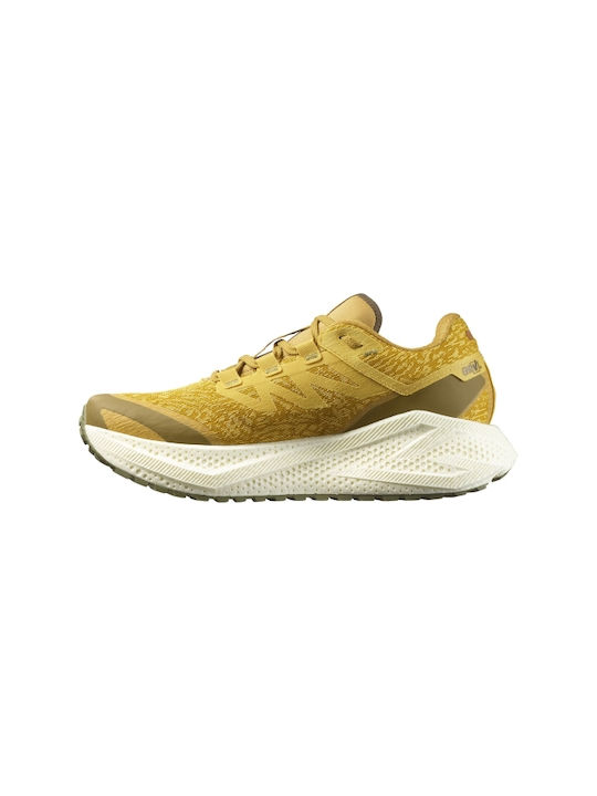 Aero Glide 3 Grvl Sport Shoes Running Spicy Mustard / Vanilla Ice / Deep Lich