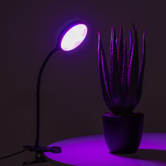 GloboStar Desk Grow Light with LED and Power 5W L10xW20xH36cm.