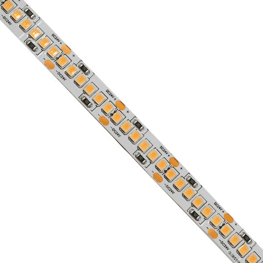 GloboStar Ταινία LED 24V Ροζ Φως 5m Τύπου SMD2835