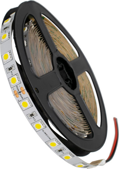 GloboStar LED Лента 24V Неутрално бяло Светлина 5м Тип SMD5050
