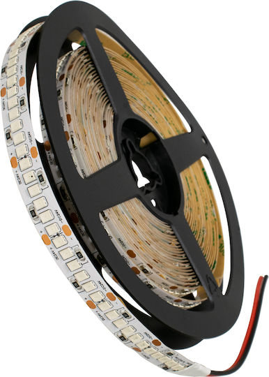 GloboStar LED-Streifen 24V Grün Licht 5m Typ SMD2835