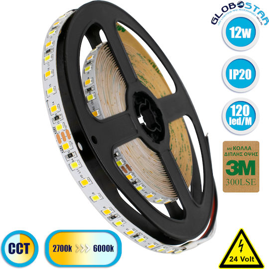 GloboStar LED Лента 24V Регулируемо бяло Светлина 5м Тип SMD2835