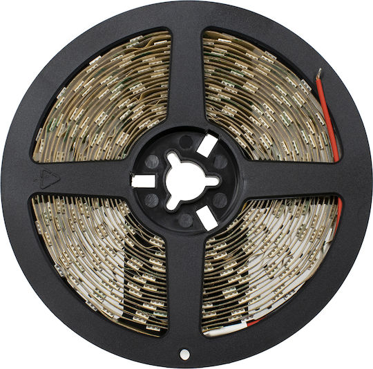 GloboStar LED Лента 24V Червено Светлина 5м Тип SMD5050