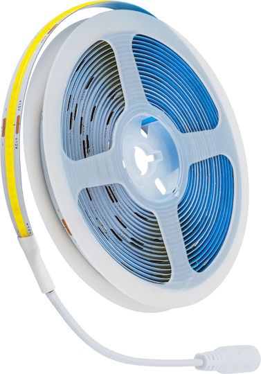 GloboStar Ταινία LED 12V Φυσικό Λευκό Φως 5m Τύπου COB με Τροφοδοτικό