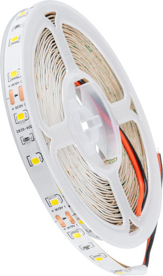 GloboStar LED Strip 12V Natural White Light 5m Type SMD2835