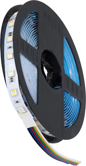 GloboStar Ταινία LED 24V RGBW Φως 5m Τύπου SMD5050