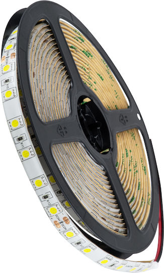 GloboStar Waterproof LED Strip 24V Cold White Light 5m Type SMD5050