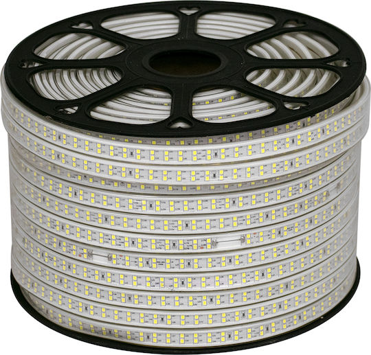 GloboStar Rezistent la apă Bandă LED 220V Alb Rece Lumină 1m Tip SMD2835