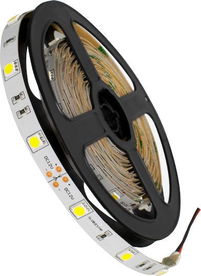GloboStar LED Лента 12V Студено бяло Светлина 5м Тип SMD5050