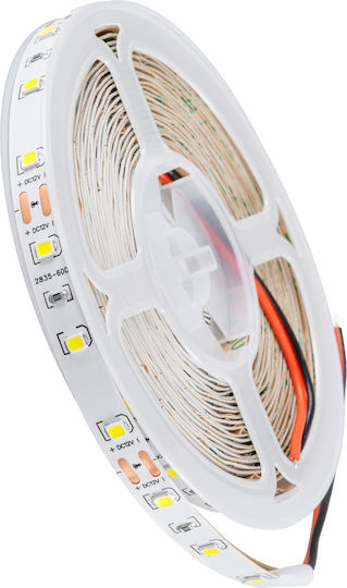GloboStar Ταινία LED 12V Ψυχρό Λευκό Φως 5m Τύπου SMD2835
