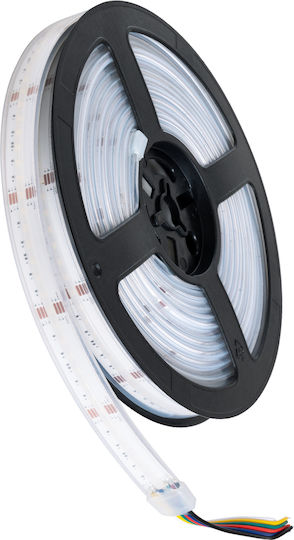 GloboStar Αδιάβροχη Ταινία LED 24V RGBW Φως 1m Τύπου COB