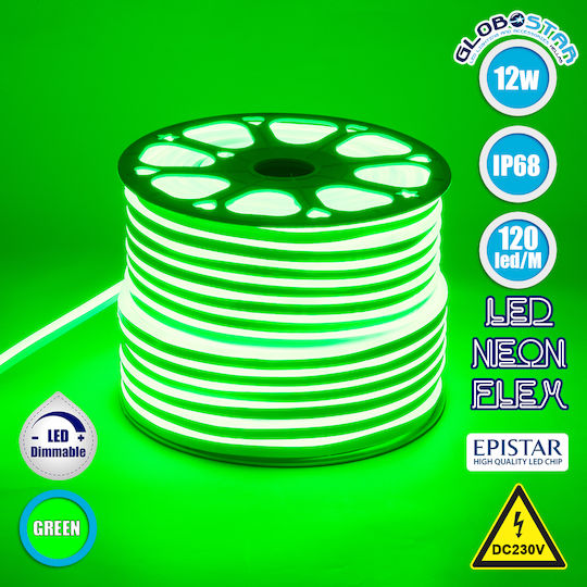GloboStar Waterproof LED Strip 220V Green Light 1m Neon Flex