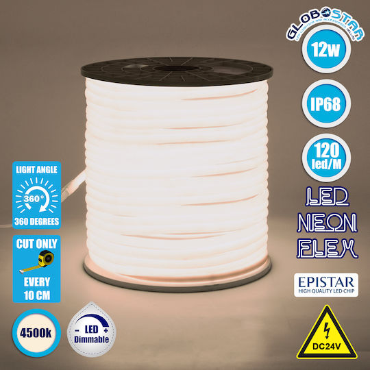 GloboStar Αδιάβροχη Ταινία LED 24V Φυσικό Λευκό Φως 1m Neon Flex